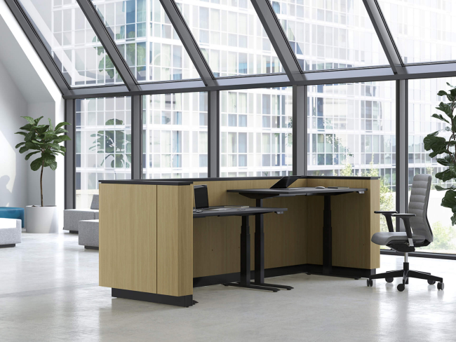 Empfangstheke Holz - 3